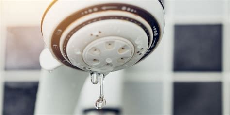 Leaking Shower Head: How To Determine The Cause ...